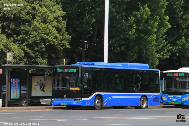 800BUS