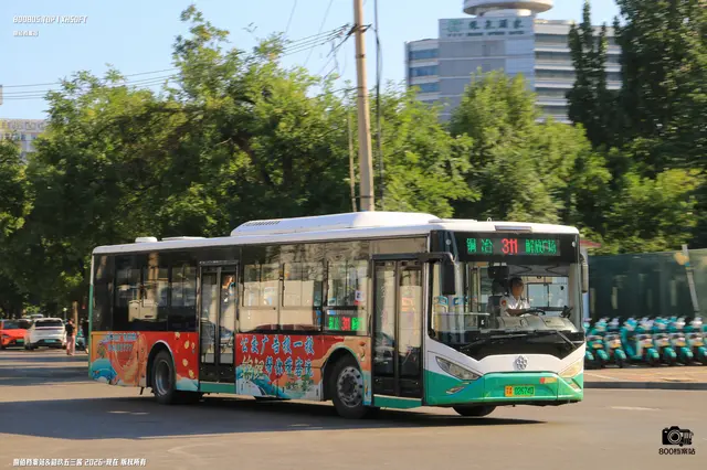 800BUS