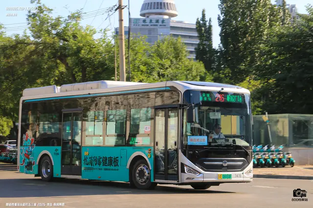 800BUS