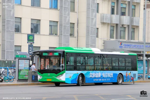 800BUS