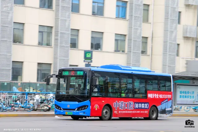 800BUS
