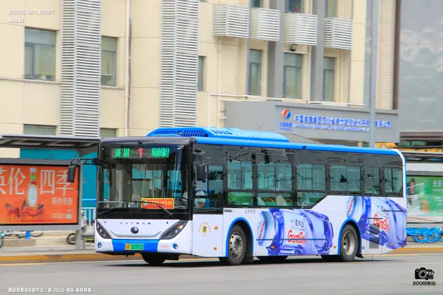 800BUS