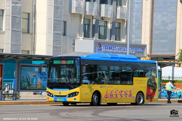 800BUS