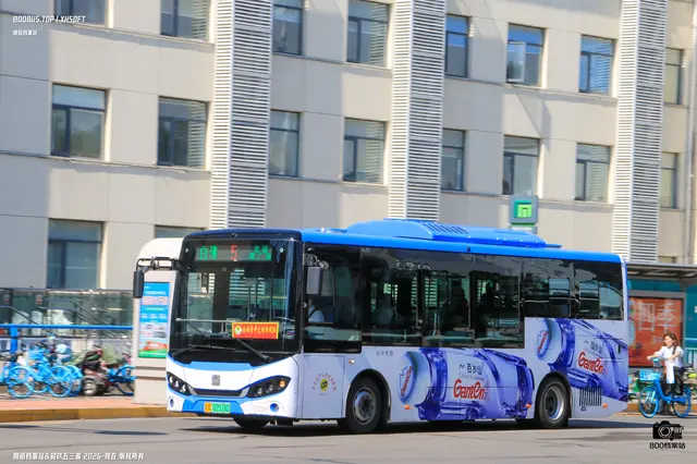 800BUS