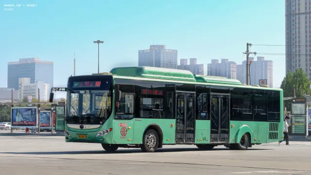 800BUS