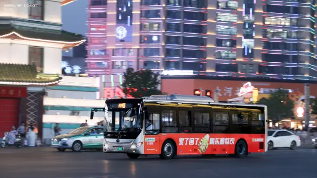 800BUS