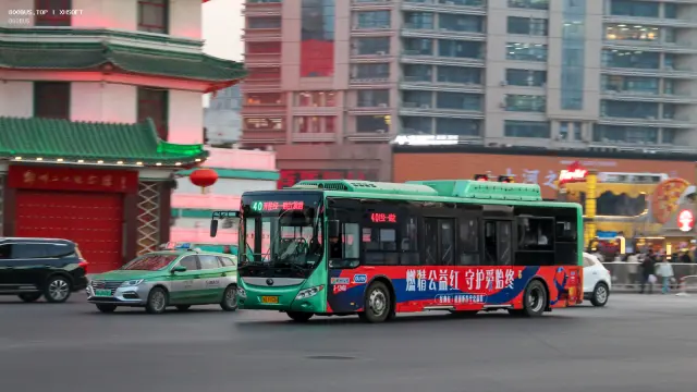 800BUS