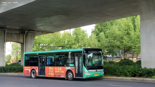 800BUS