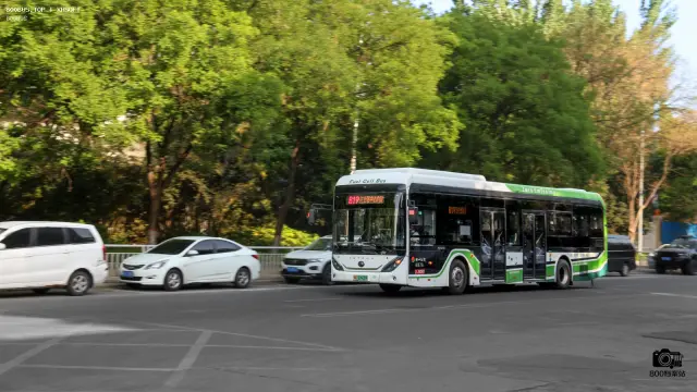 800BUS