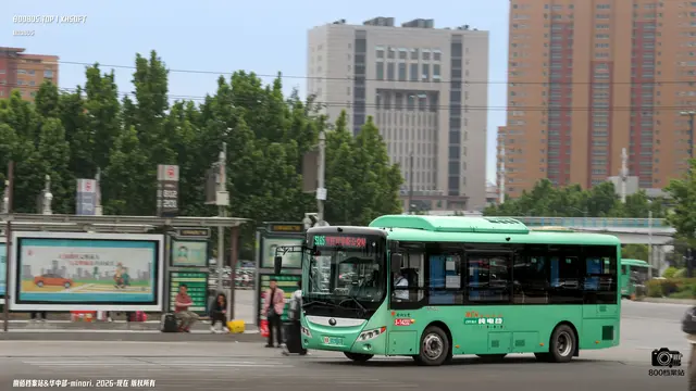 800BUS