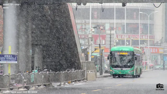 800BUS