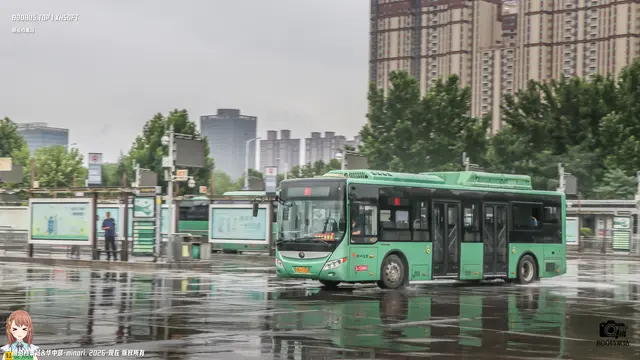 800BUS