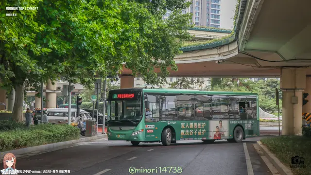 800BUS