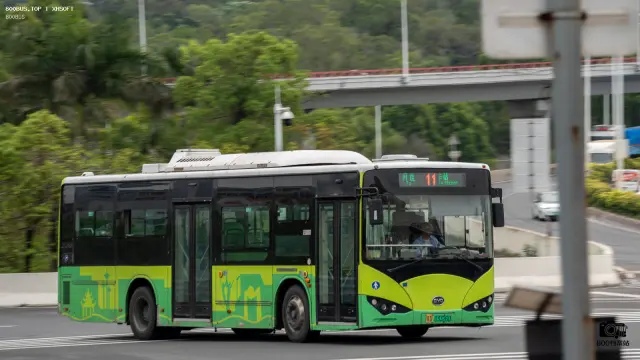 粤D 03326D