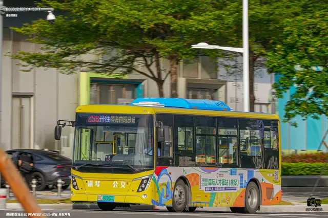 粤C 02882D