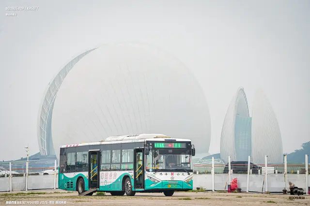 粤C 06675D