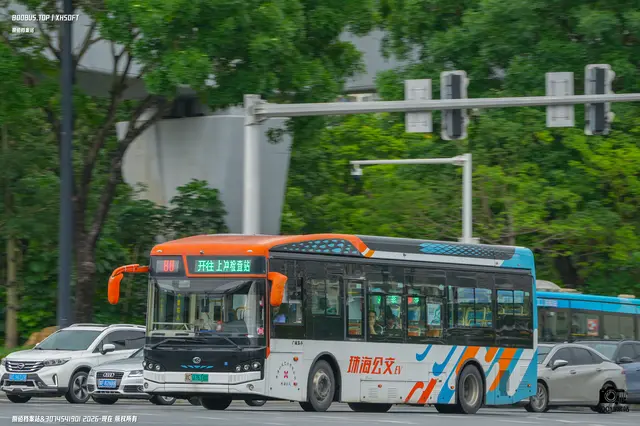 粤C 07618D