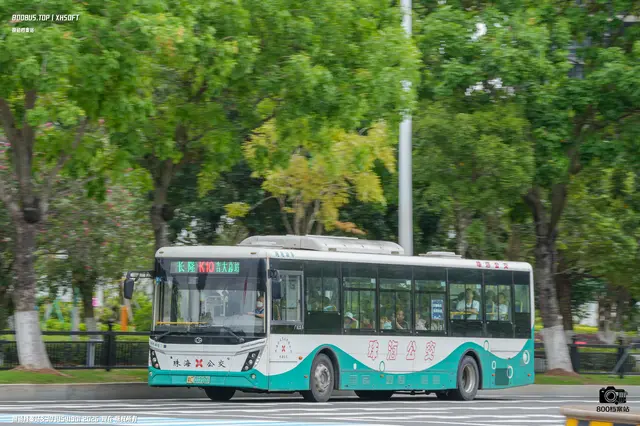 粤C 01210D