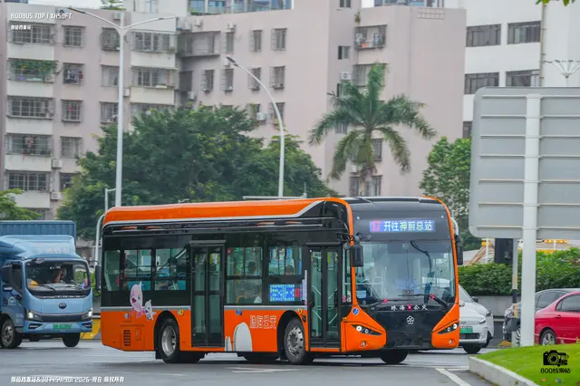 粤C 05318D