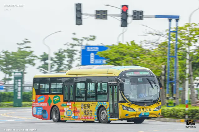 粤C 03773D