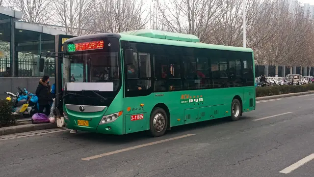 800BUS