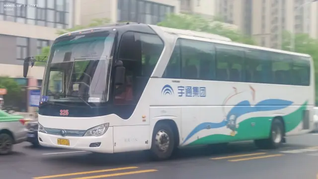 800BUS