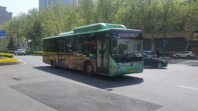 800BUS