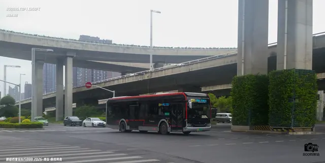 豫A 09266D