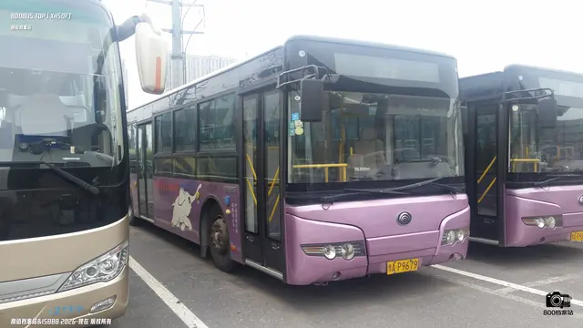 豫A P9679