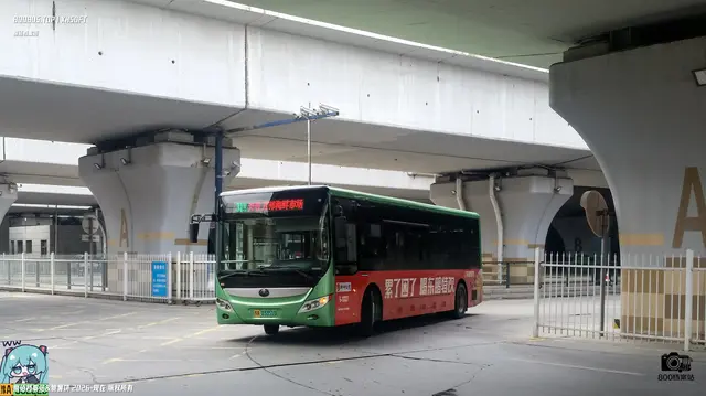 800BUS