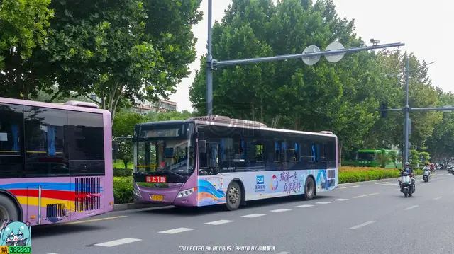 豫A 6269Q
