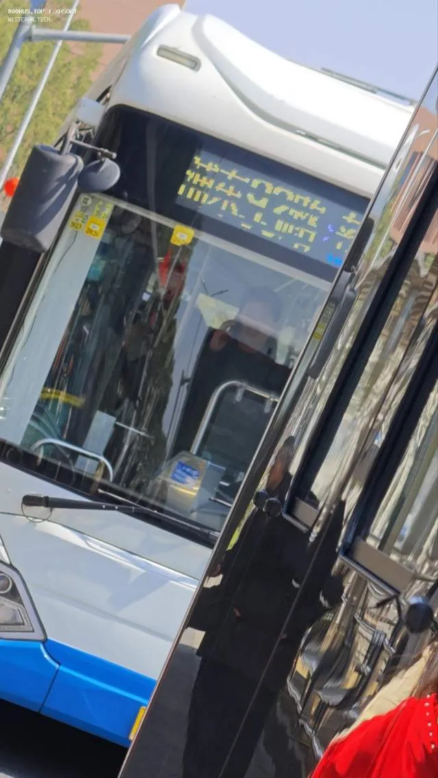 沪A 91666D