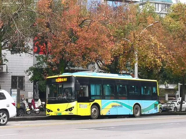 桂C01669D