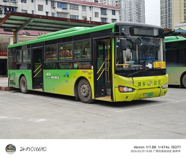 桂C11806D