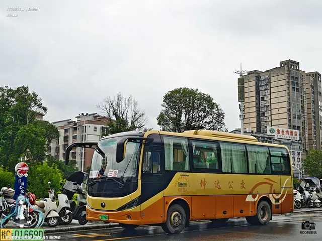 桂C 01956D