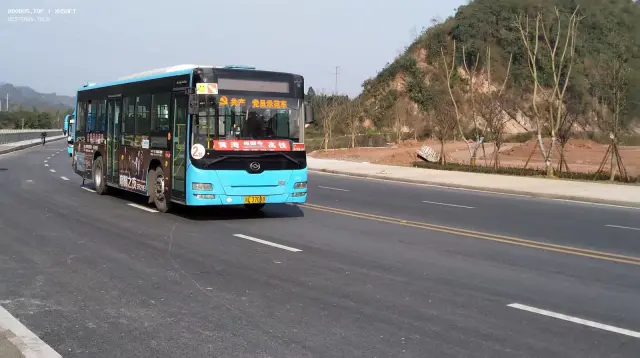 800BUS