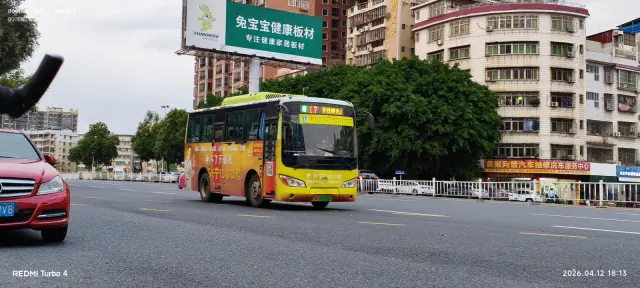 800BUS