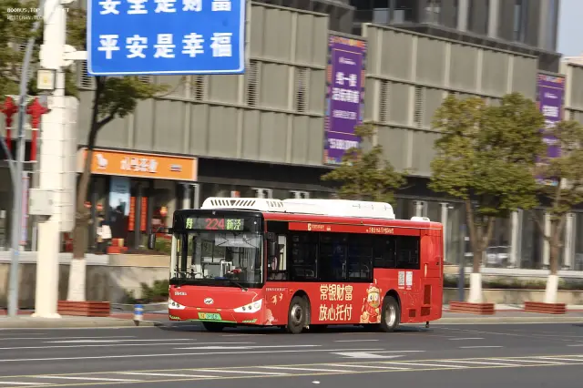 800BUS