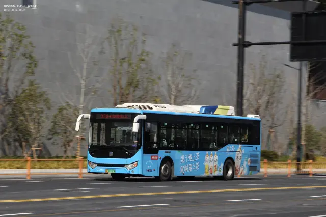 800BUS