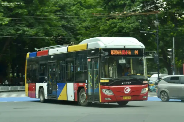 800BUS