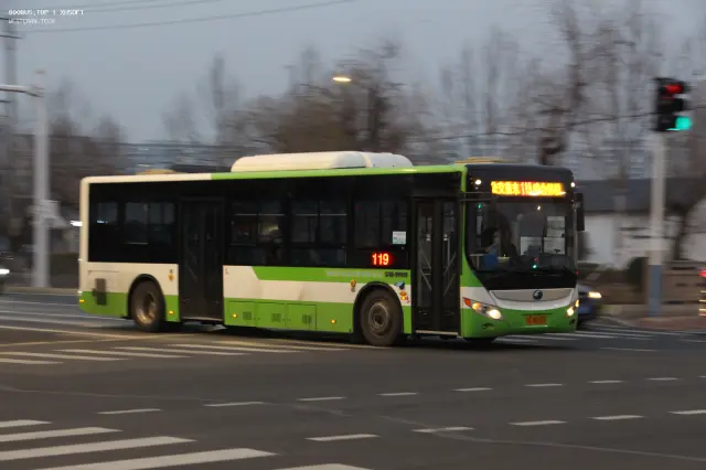 800BUS
