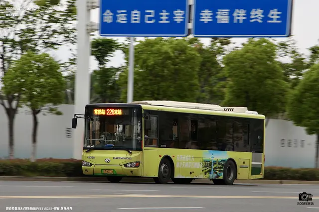 苏E W0311