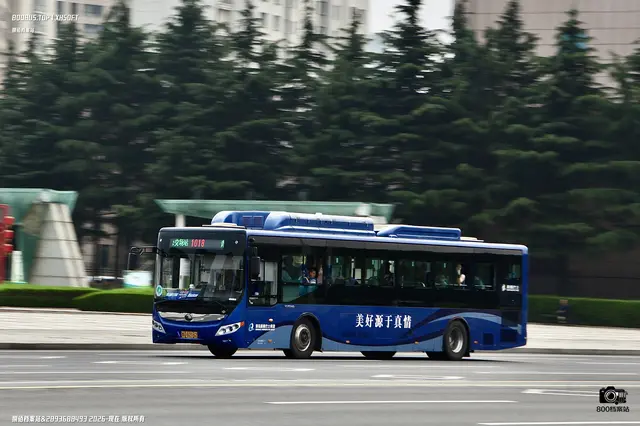 800BUS