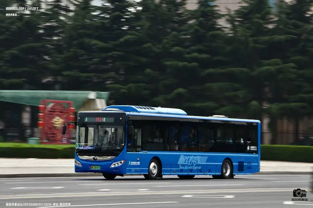 800BUS