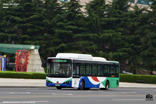 800BUS
