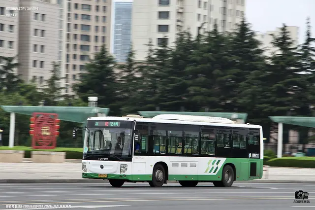 800BUS