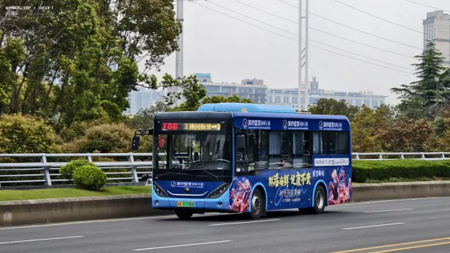 苏B07728D
