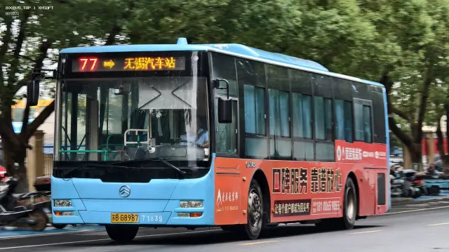 800BUS