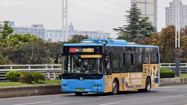 苏B06963D