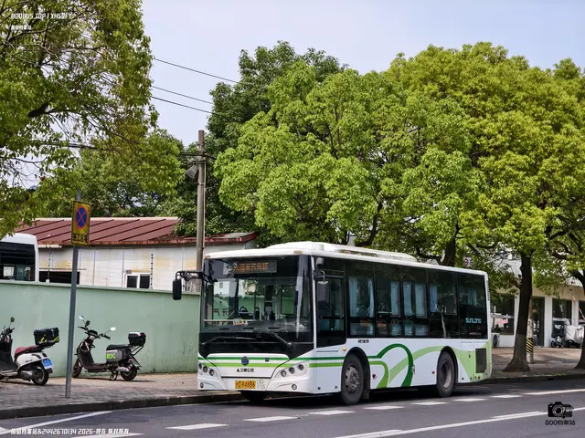 沪D R4886